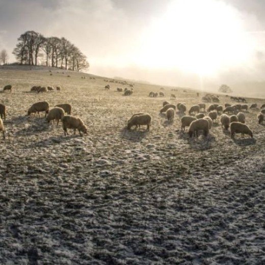 Niets mooiers dan een wandeling door het Heuvelland