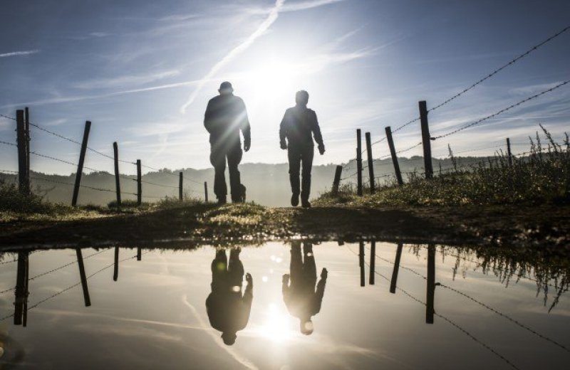 Heuvelland Vierdaagse