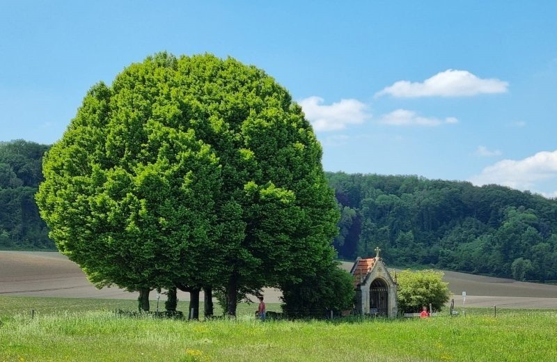 Landschap zuid limburg